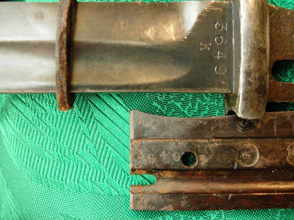 DSCN2256.JPG