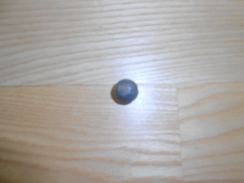 DSCN2268.jpg