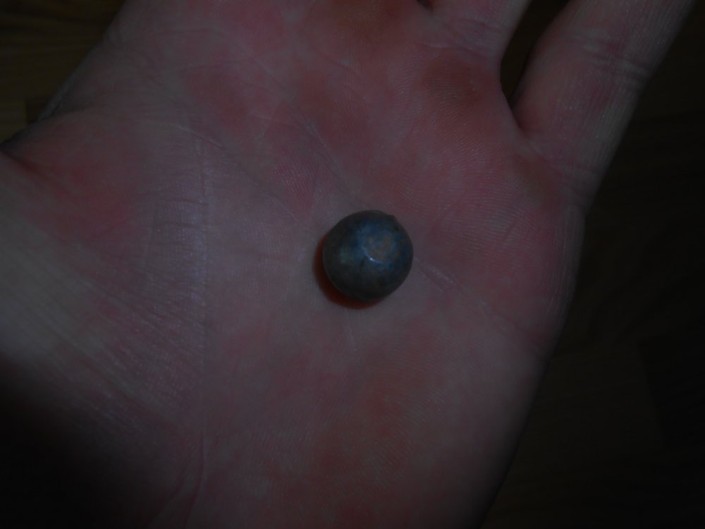 DSCN2271.jpg