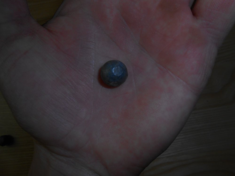 DSCN2273.jpg