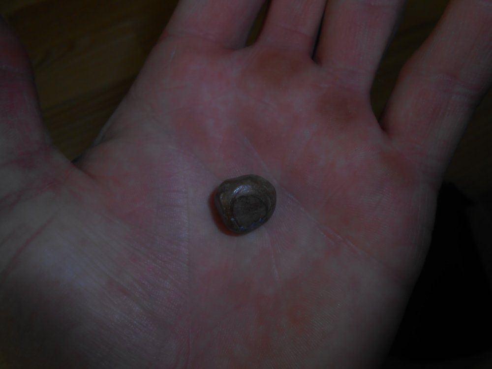DSCN2277.jpg