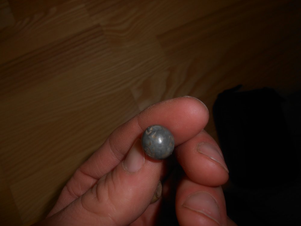 DSCN2278.jpg