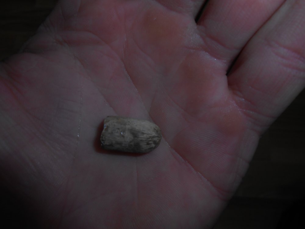 DSCN2281.jpg
