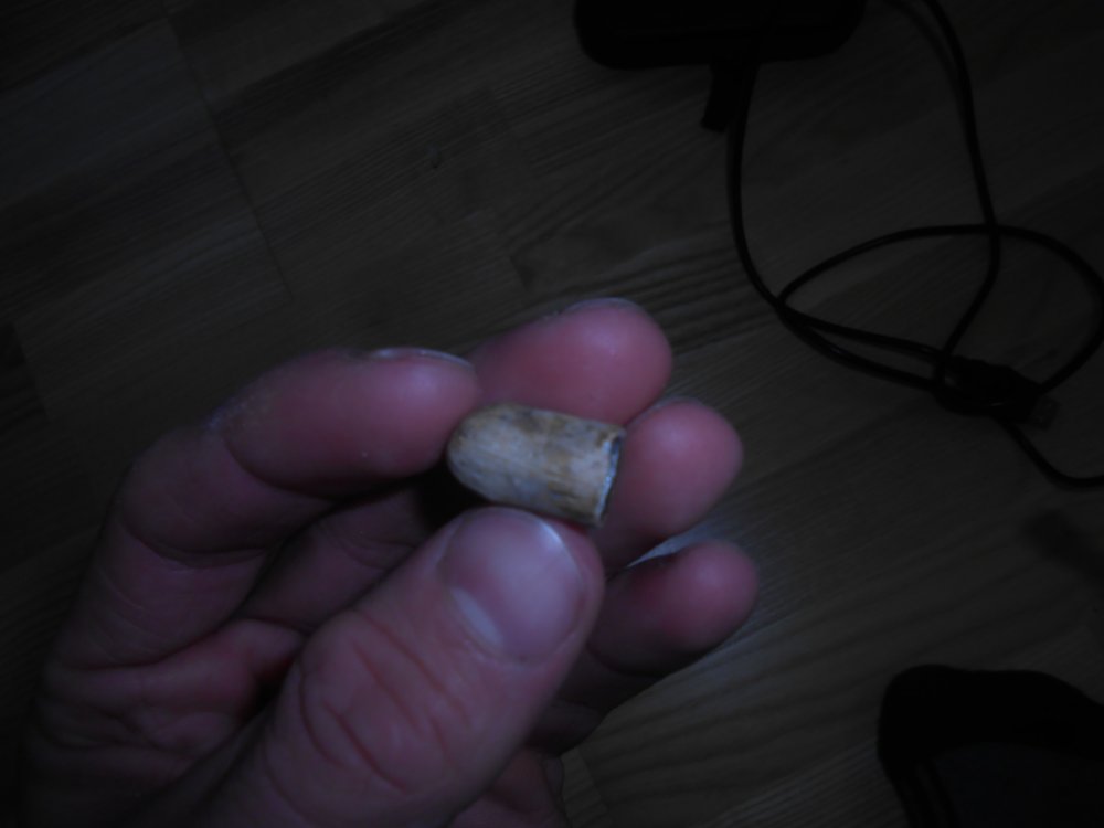 DSCN2283.jpg