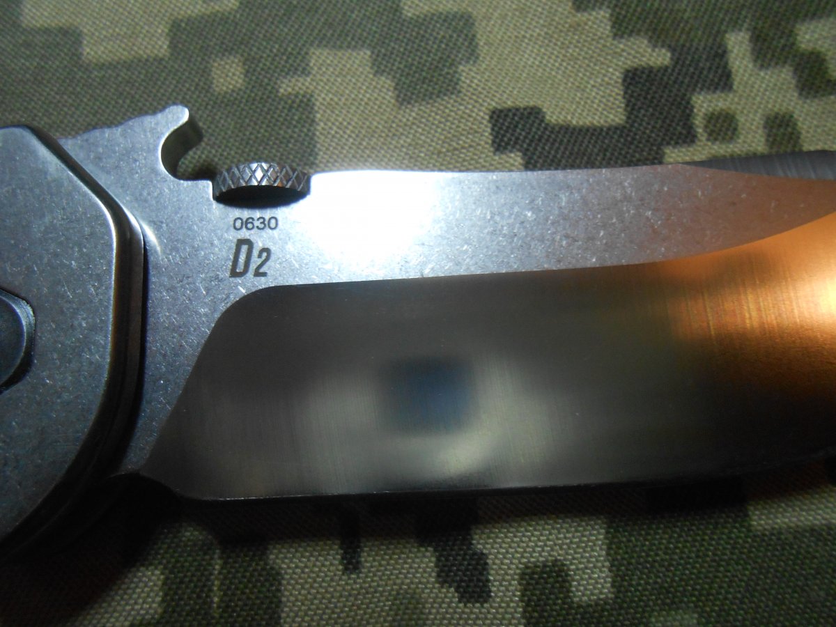 DSCN2312.JPG