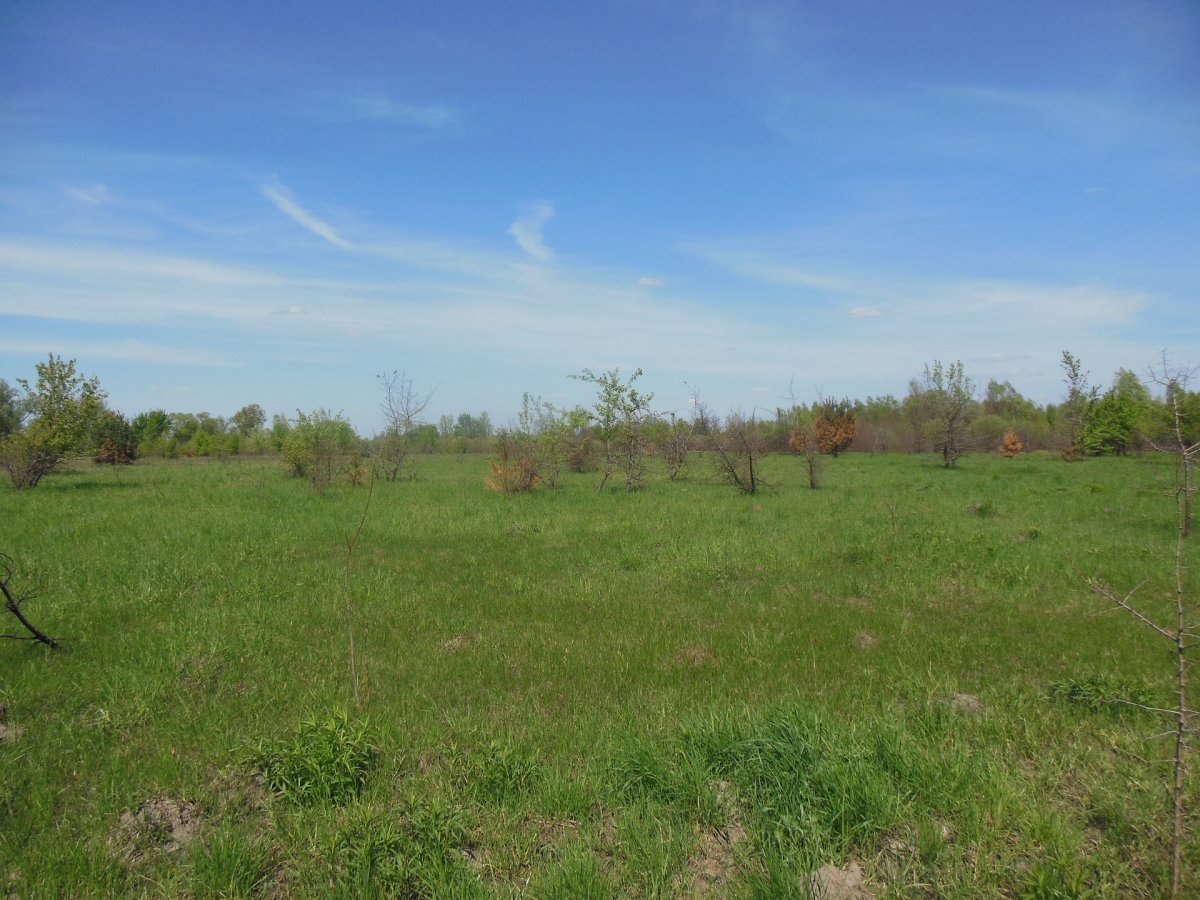 DSCN2344.JPG