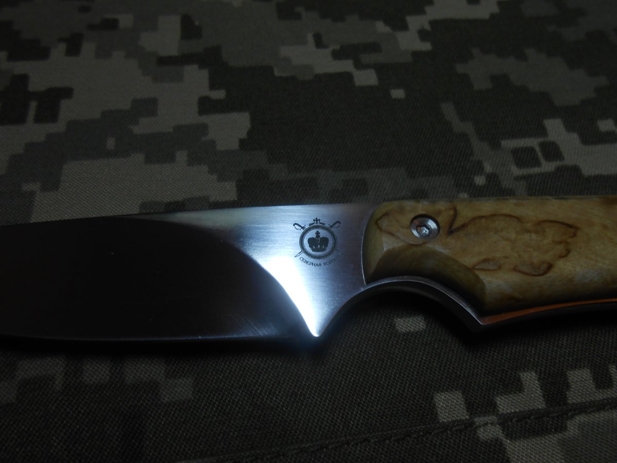 DSCN2405.JPG