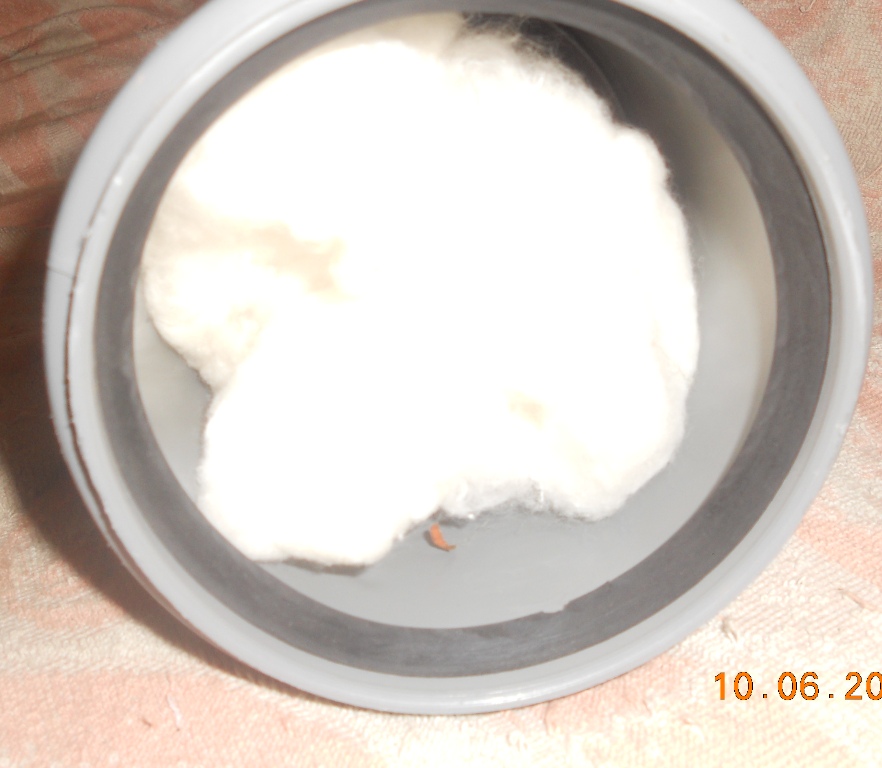 DSCN2880.jpg