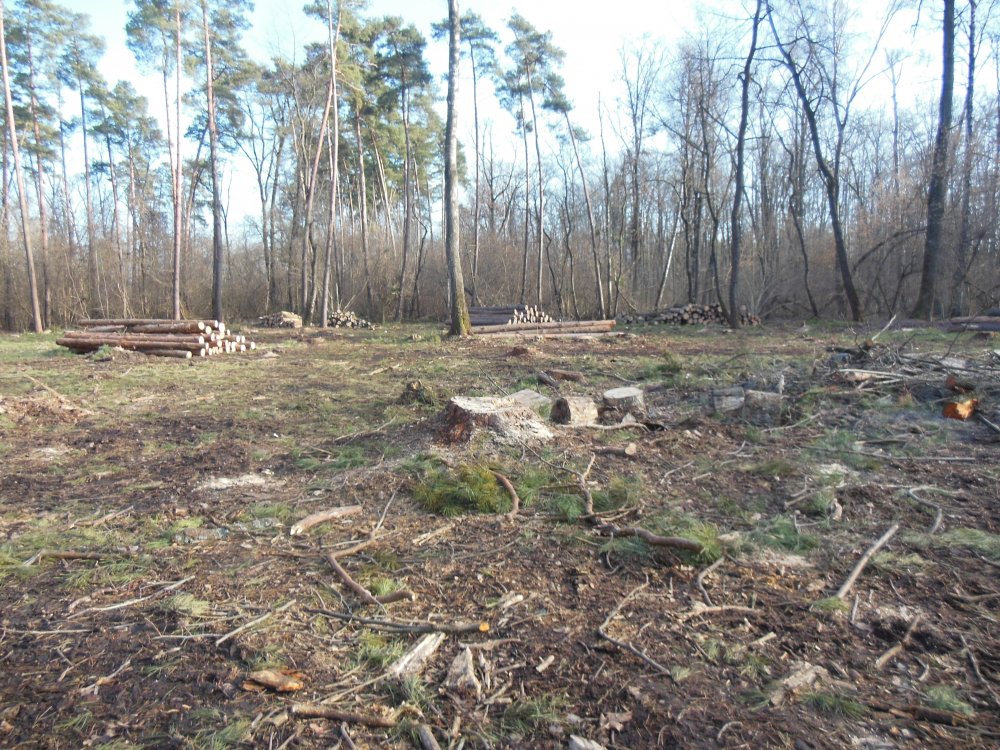 DSCN2966.JPG