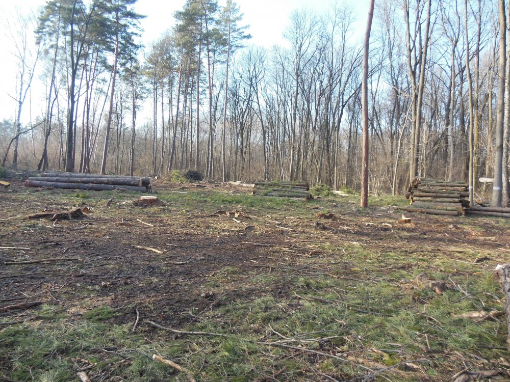 DSCN2967.JPG