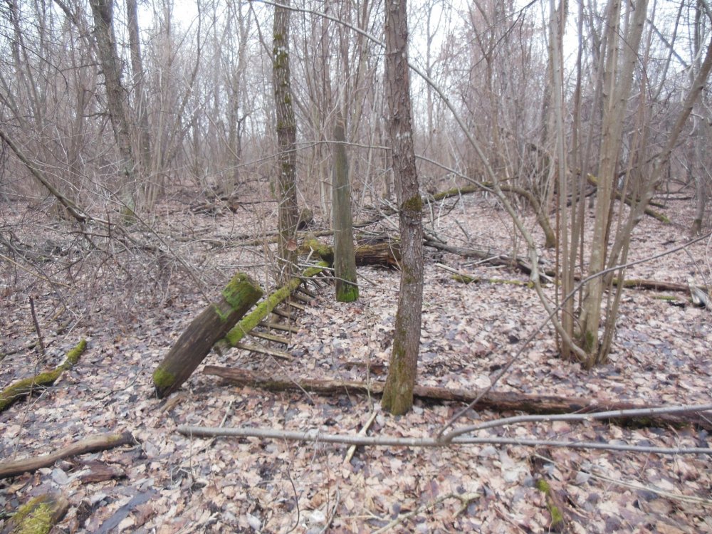 DSCN2993.JPG