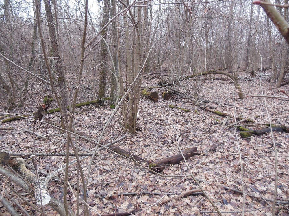 DSCN2994.JPG