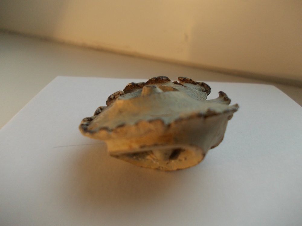 DSCN3110.JPG