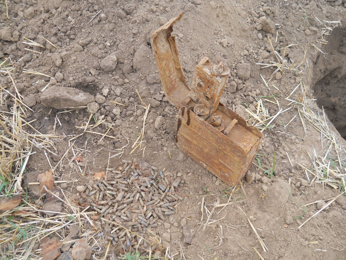 DSCN3440.jpg