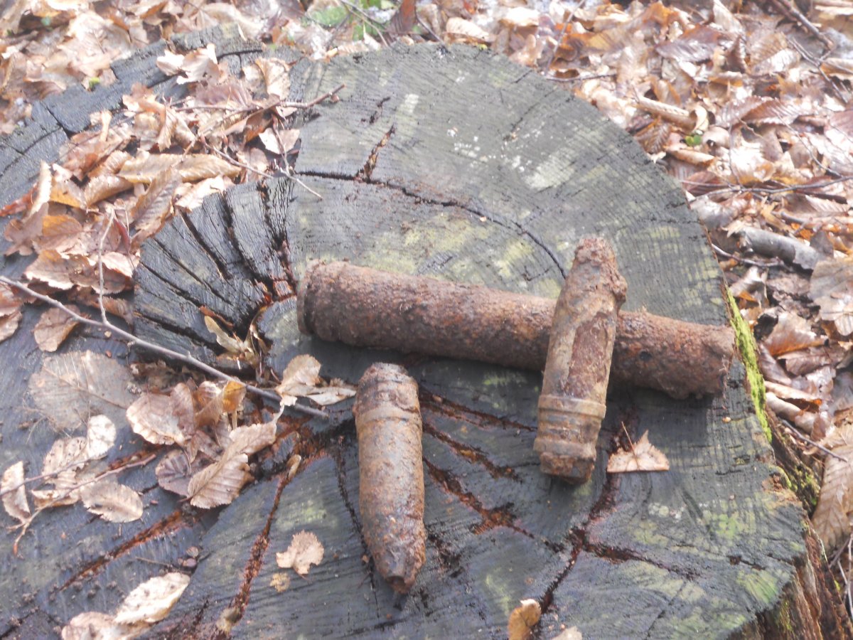 DSCN3977.jpg