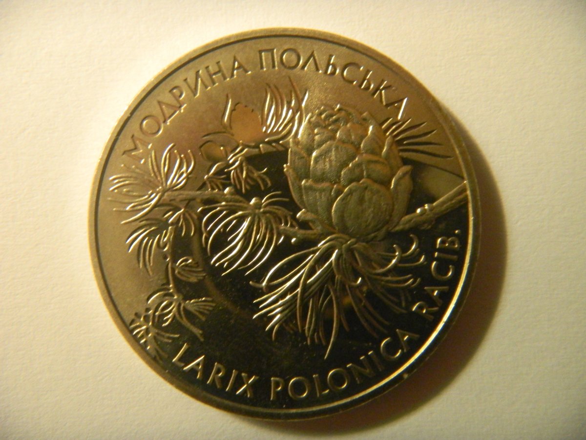 DSCN4103.jpg