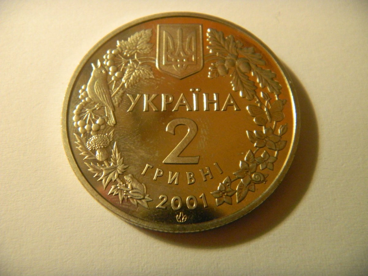 DSCN4104.jpg