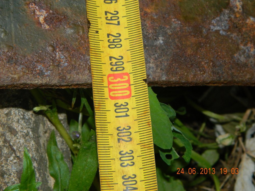 DSCN4249.JPG