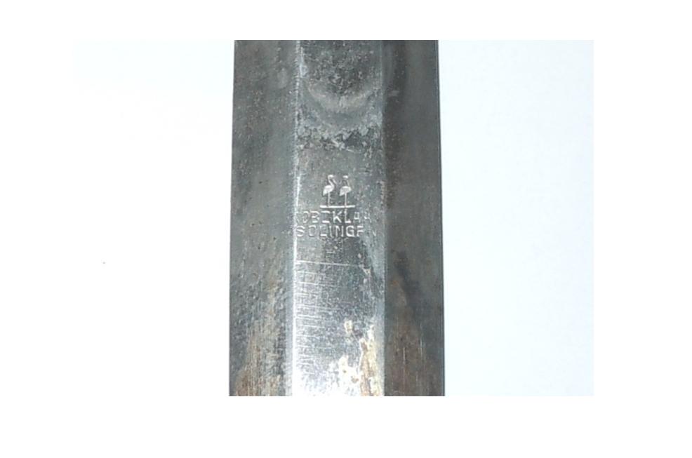 DSCN4250.jpg