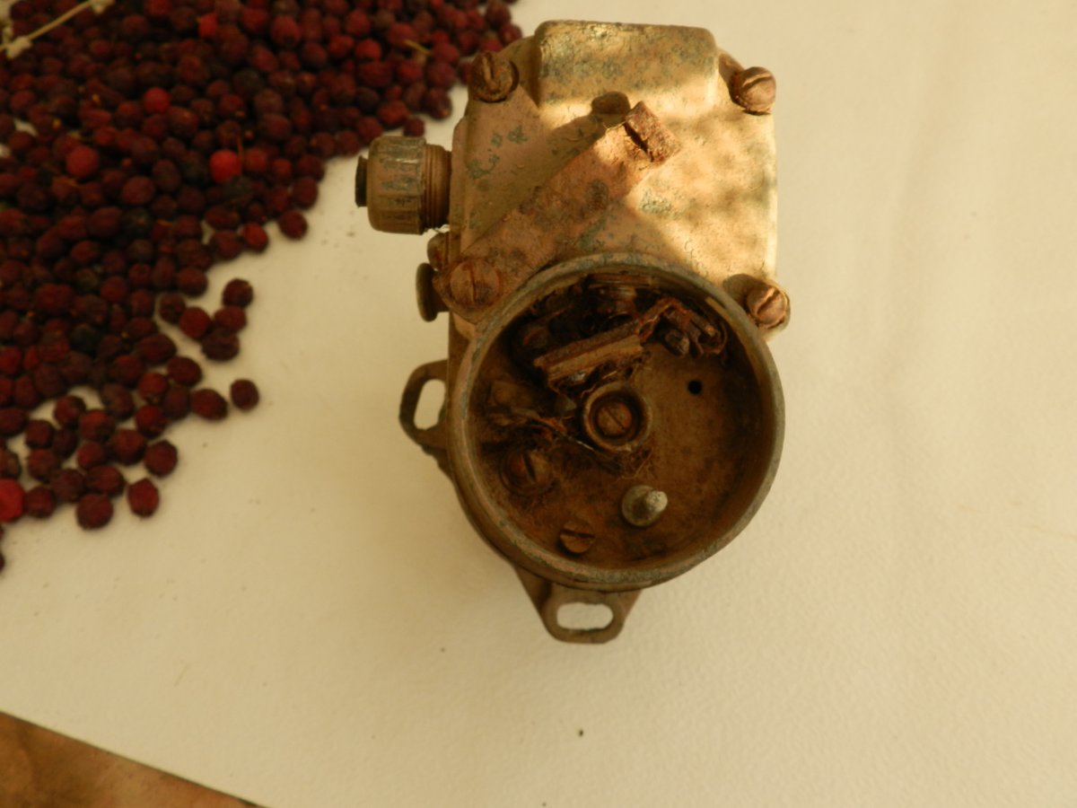 DSCN4504.JPG
