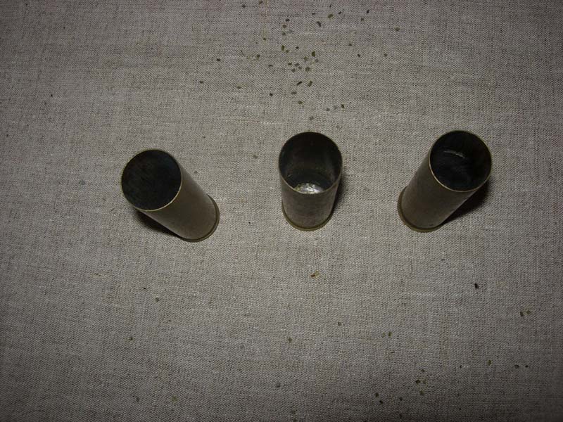 DSCN5207.JPG