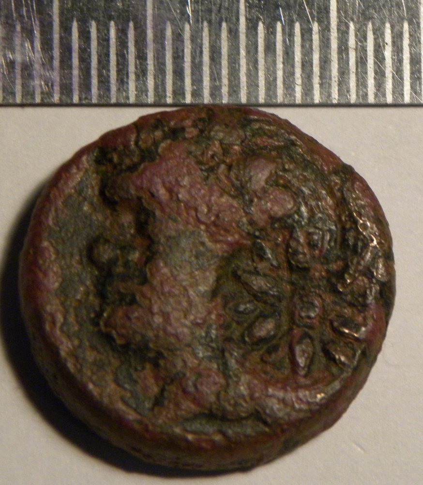 DSCN5472.jpg