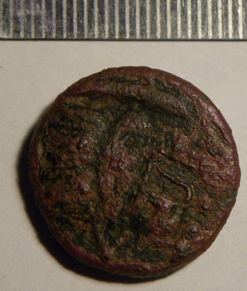DSCN5473.jpg