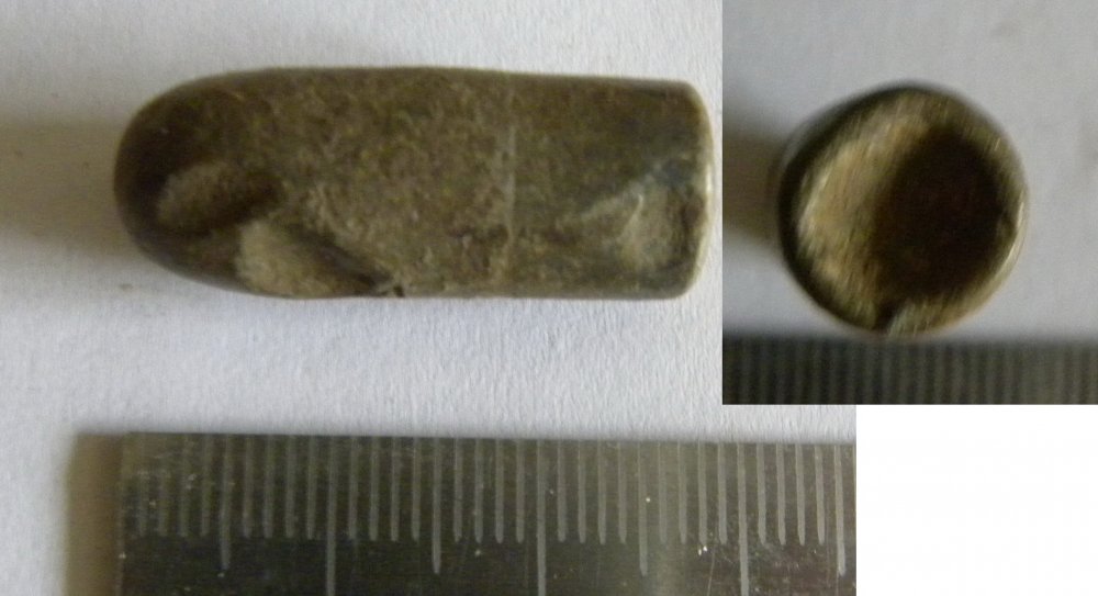 DSCN5517.JPG