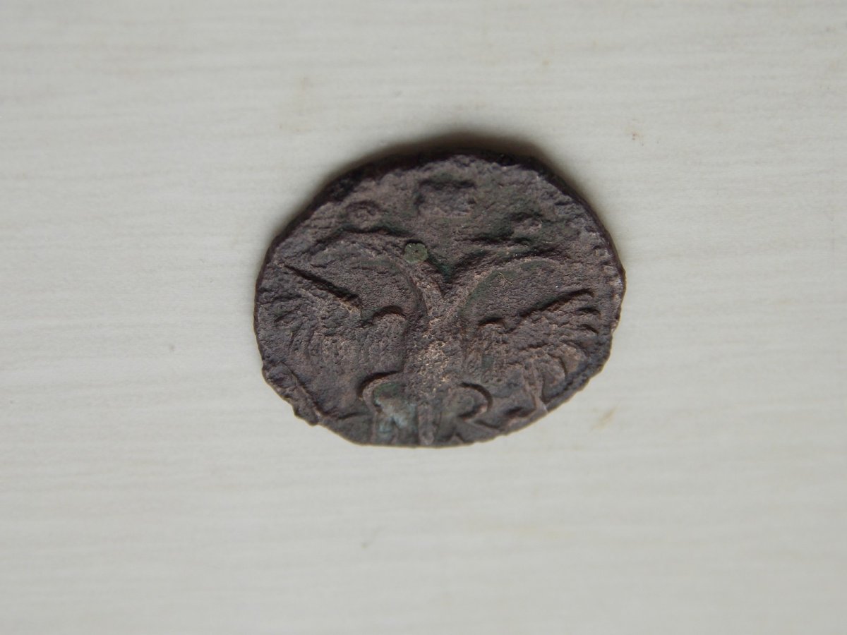 DSCN6041.JPG