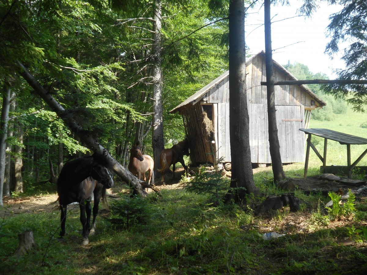 DSCN6201.JPG
