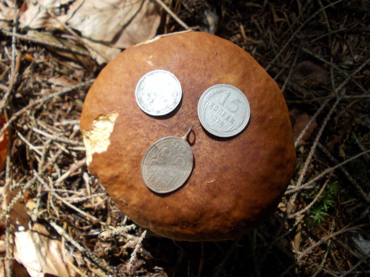 DSCN6293.JPG