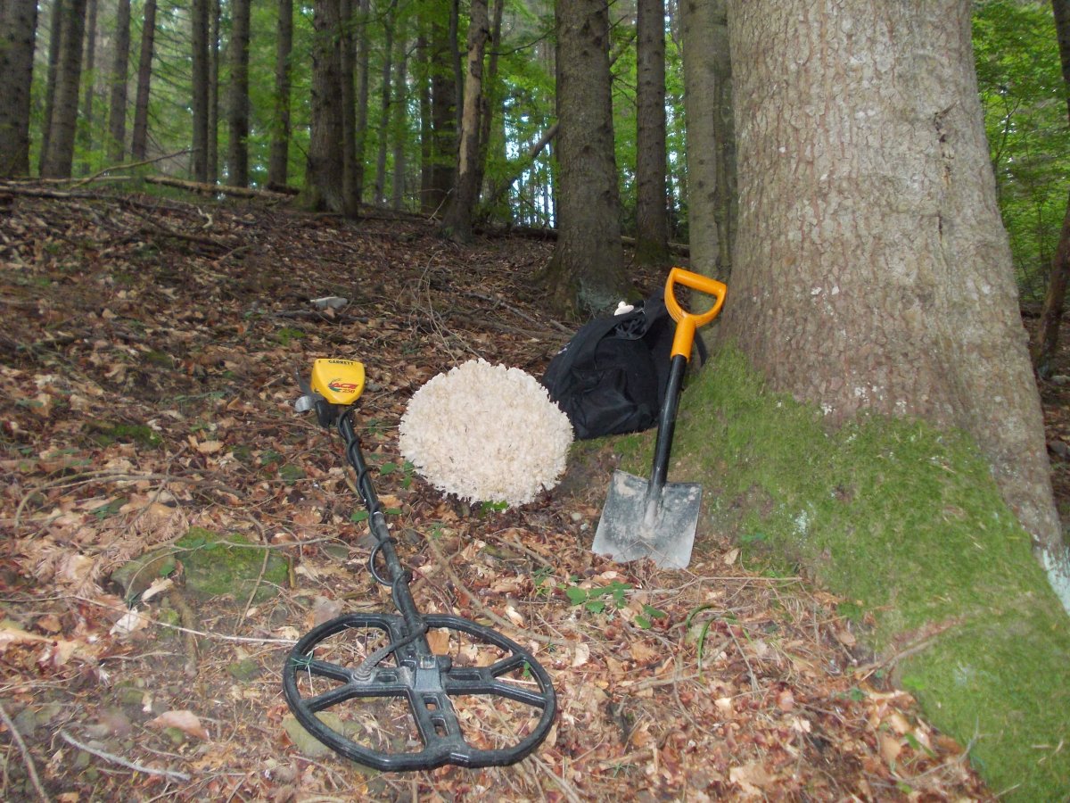 DSCN6296.JPG