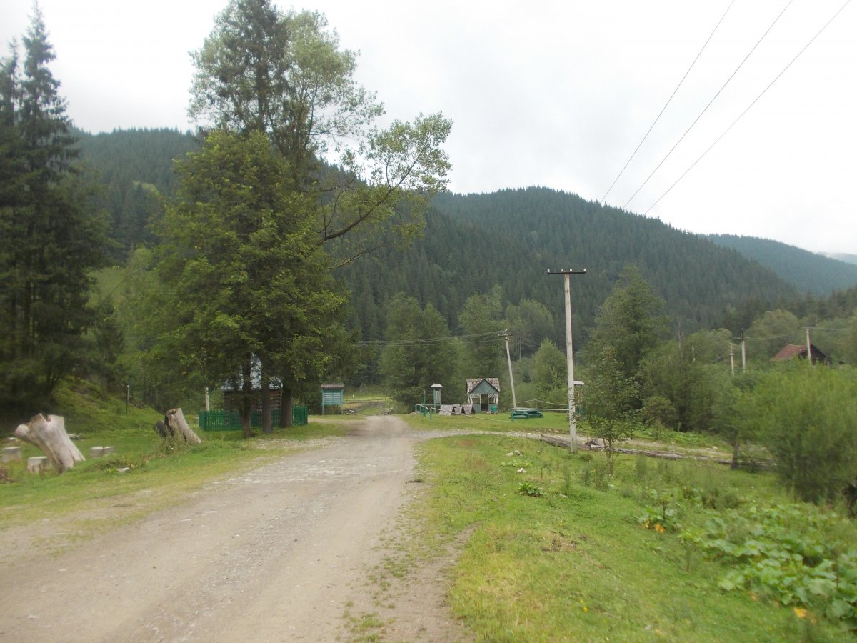 DSCN6313.JPG