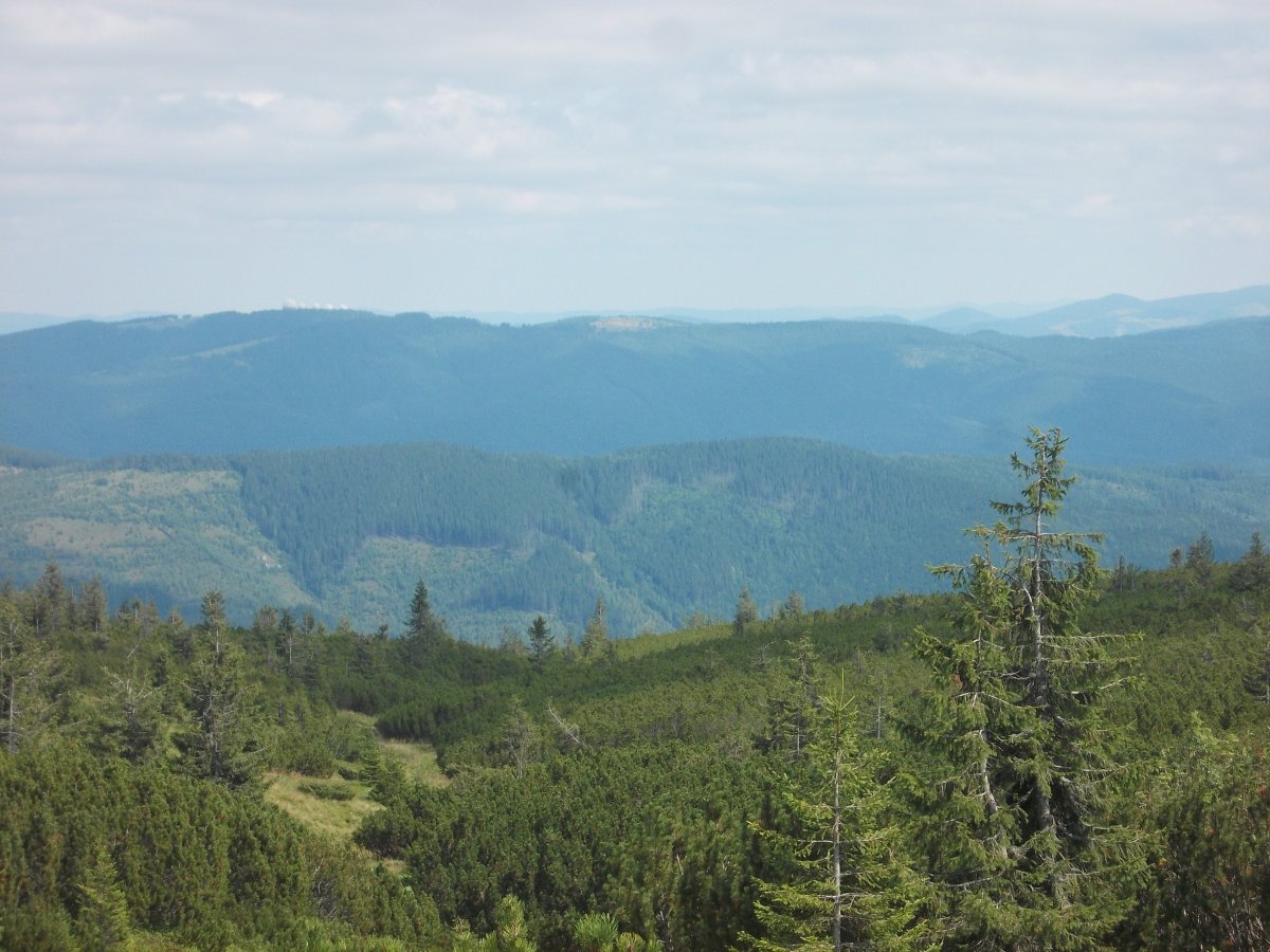 DSCN6318.JPG