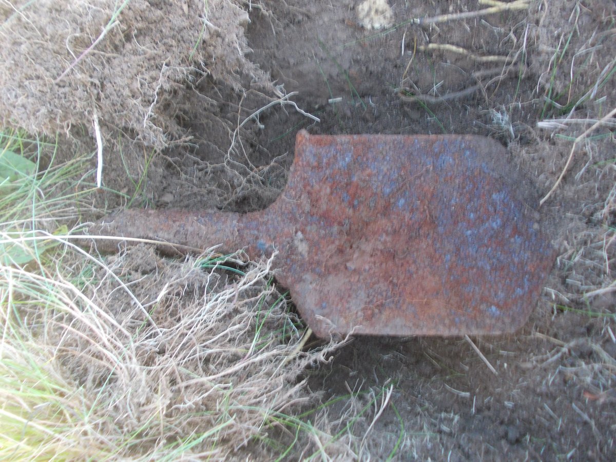 DSCN6327.JPG