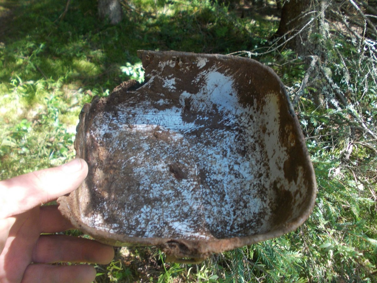 DSCN6329.JPG