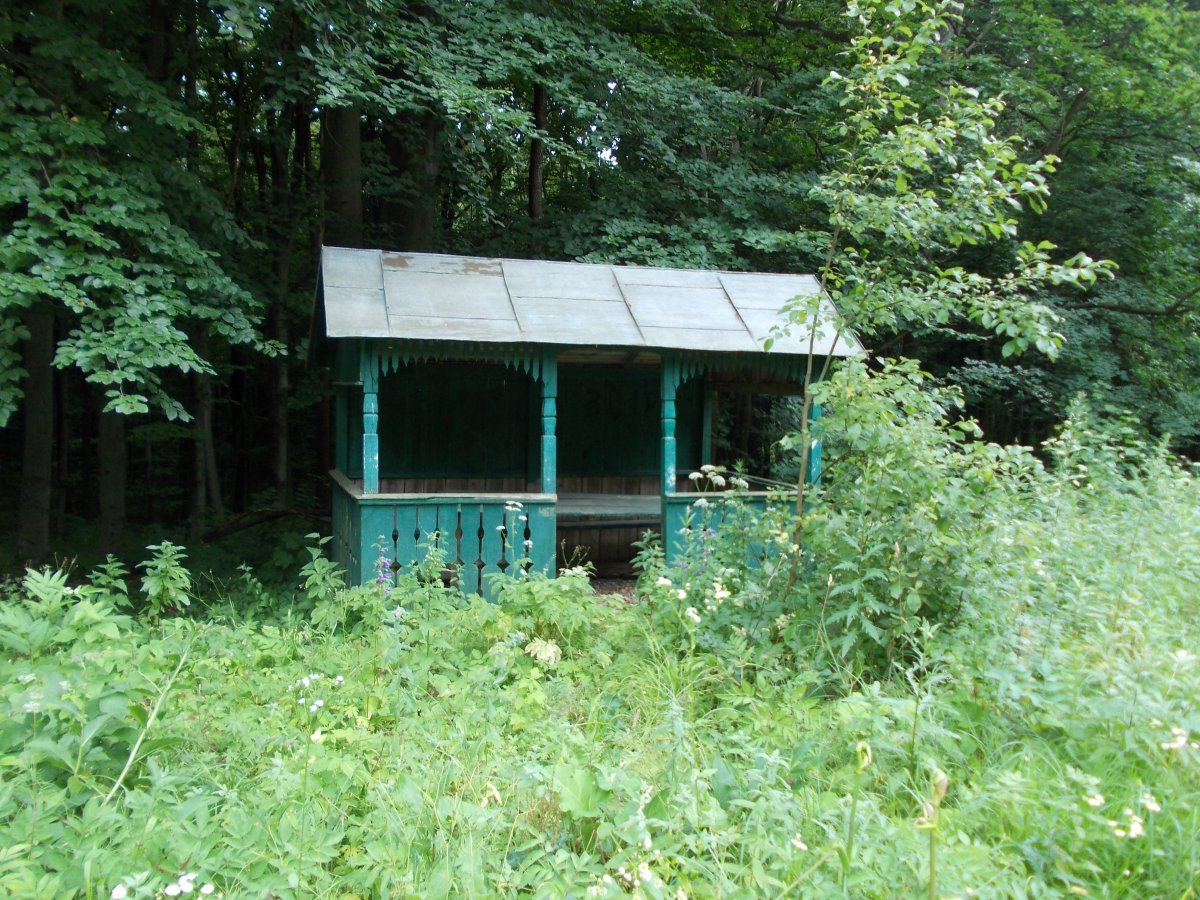 DSCN6390.JPG