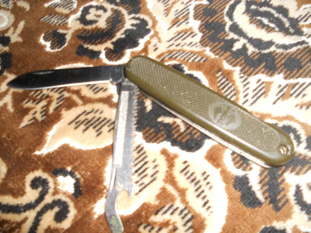 DSCN6579.JPG