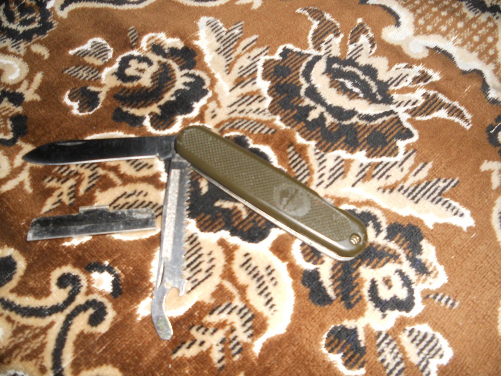 DSCN6580.JPG