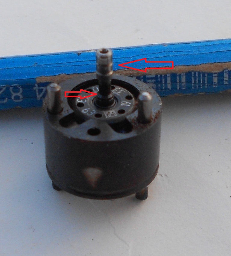 DSCN6876.JPG