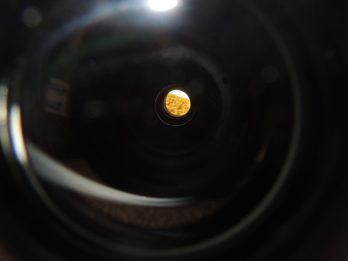 DSCN7205.JPG