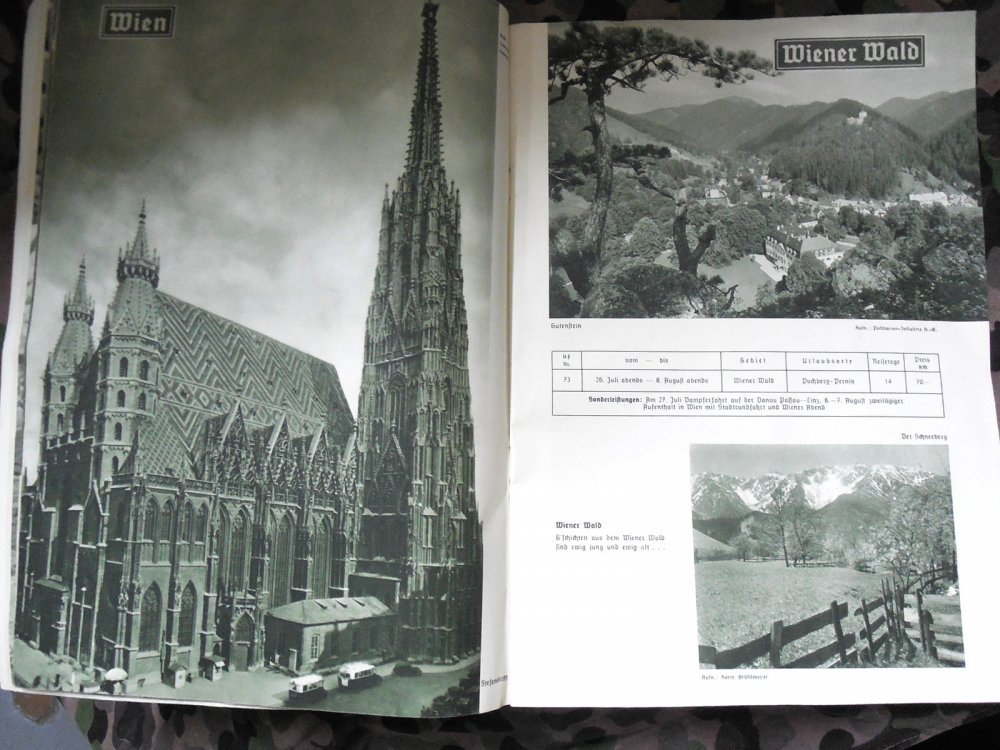 DSCN7597.JPG