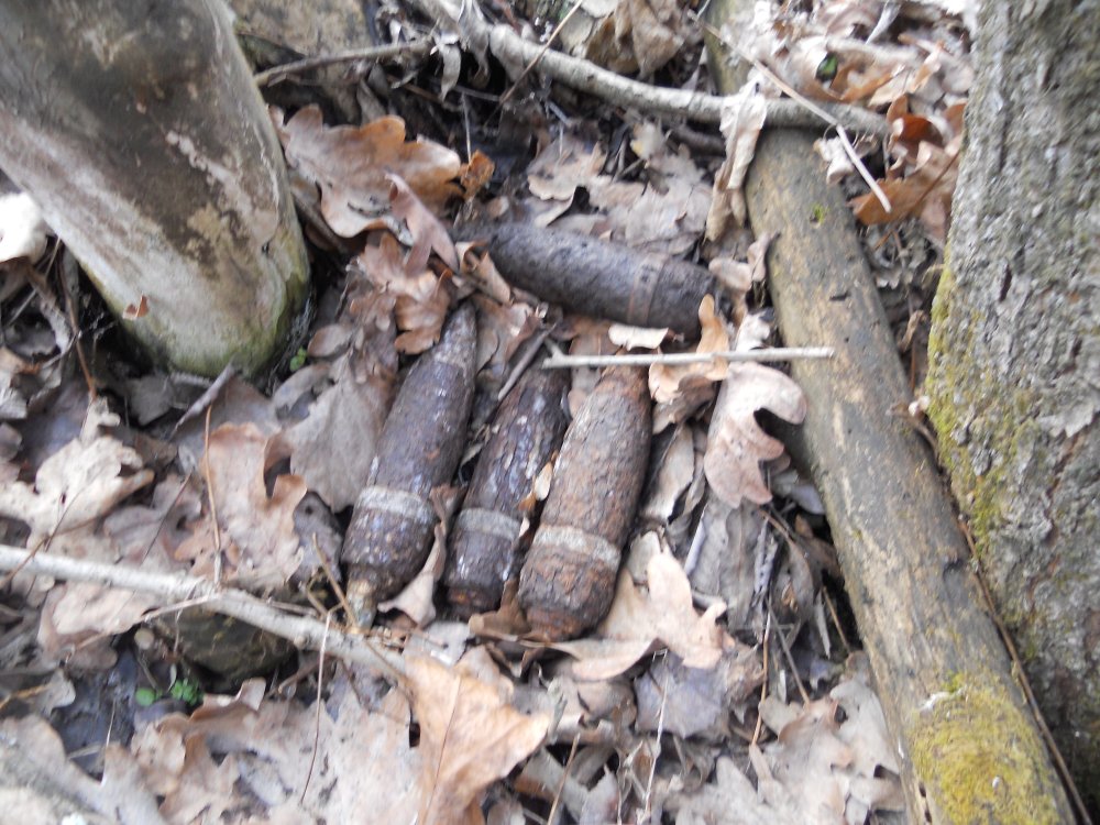 DSCN7771.JPG