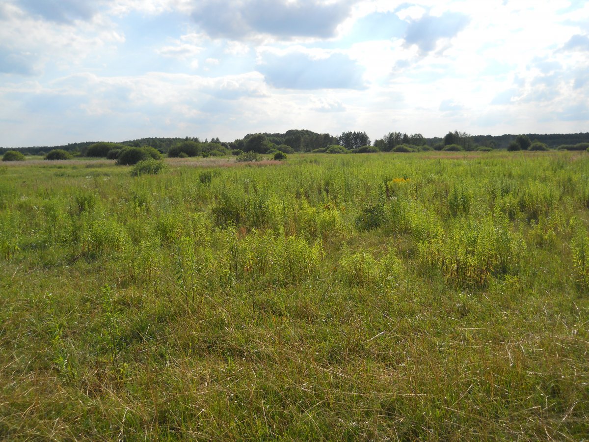 DSCN8153.JPG