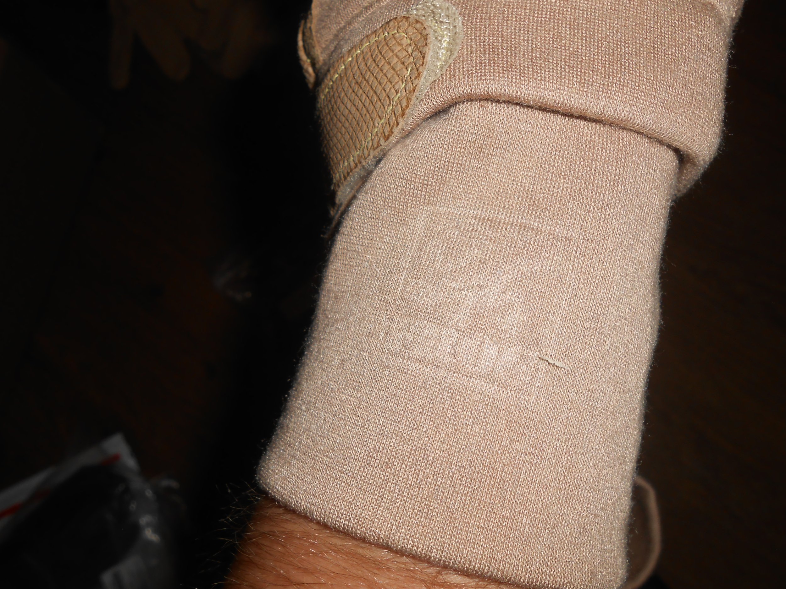 DSCN8228.JPG