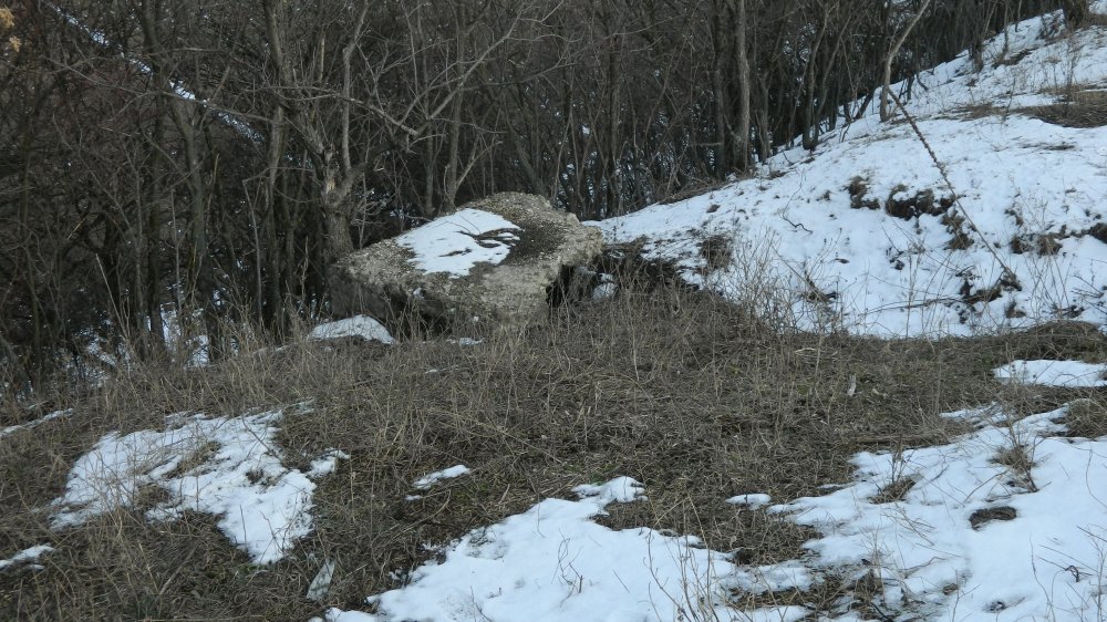 DSCN8728.JPG