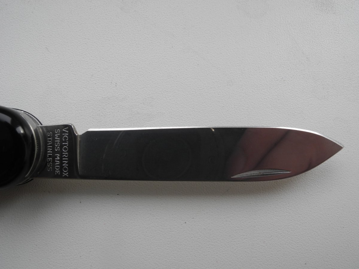DSCN8739.JPG