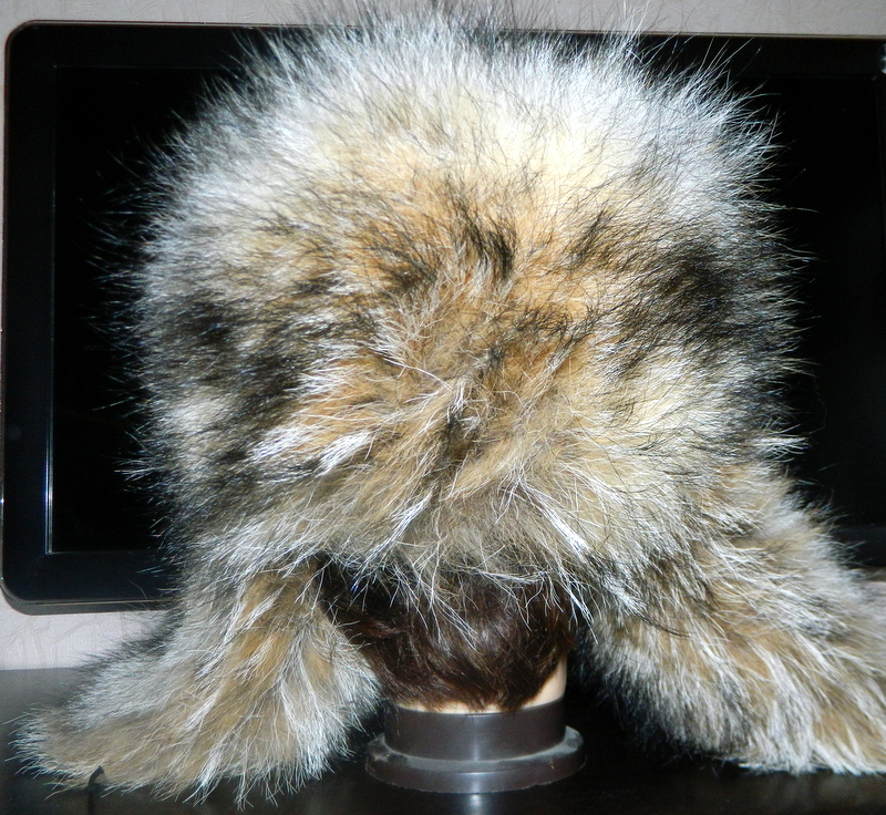 DSCN8749.JPG