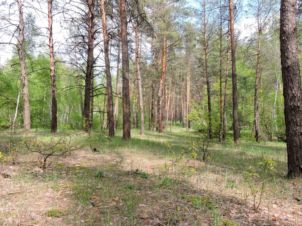DSCN8973.jpg