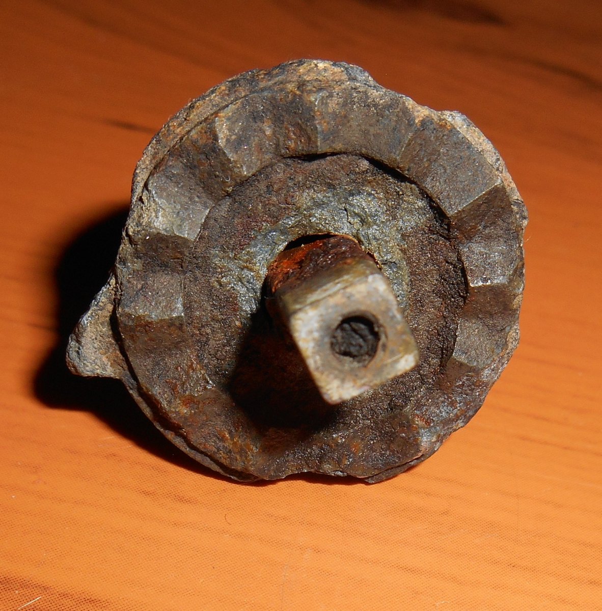 DSCN9042.JPG